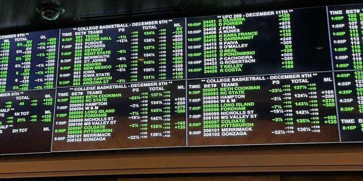 Best Sports Betting Site Guide